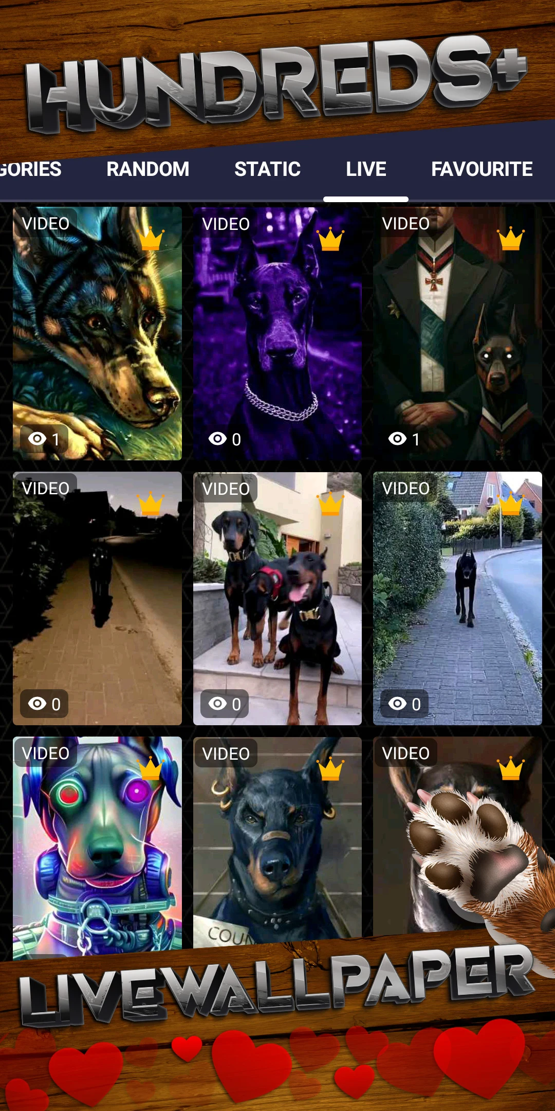 Doberman Wallpaper HD & Live screenshot