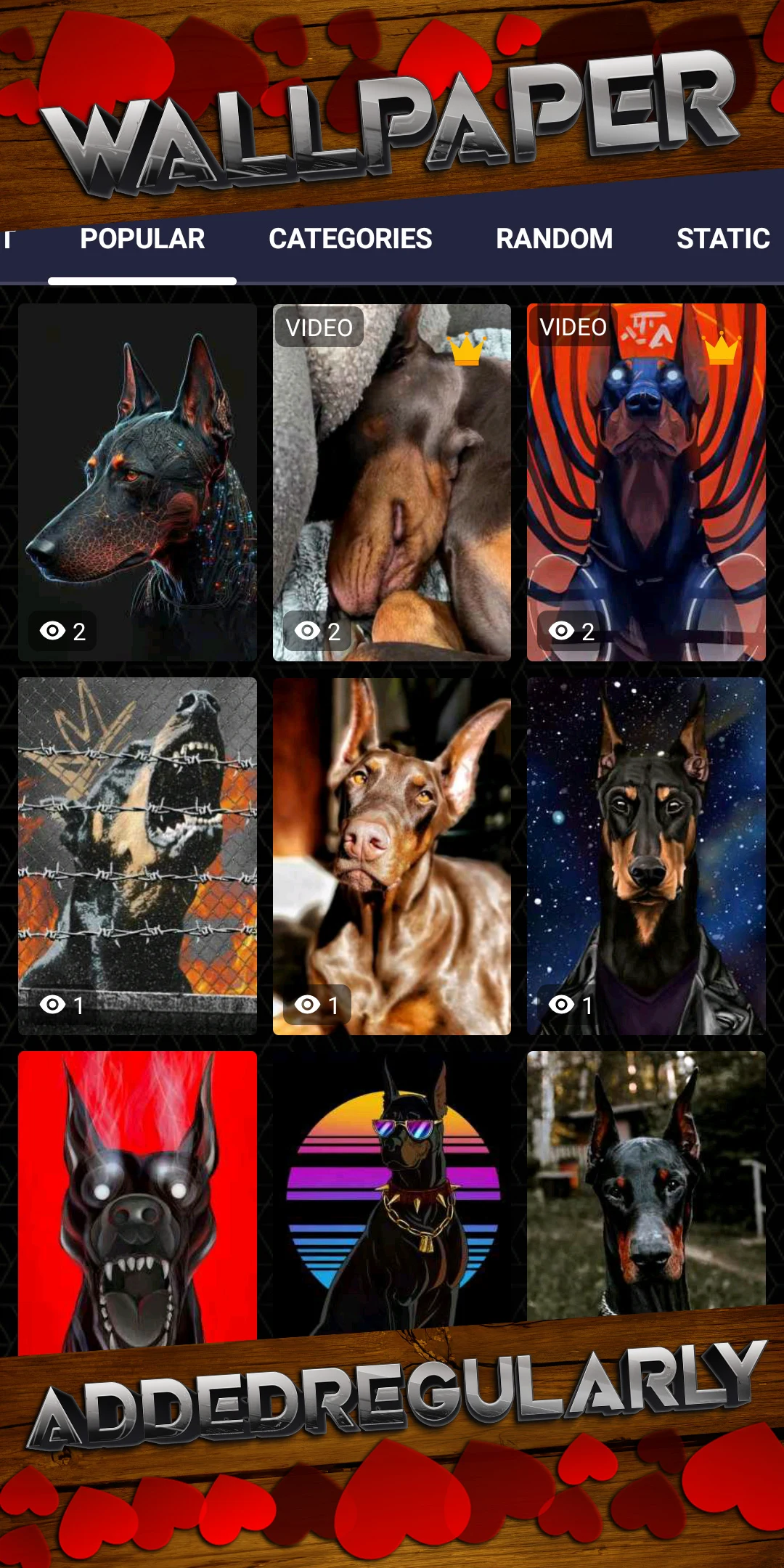 Doberman Wallpaper HD & Live screenshot