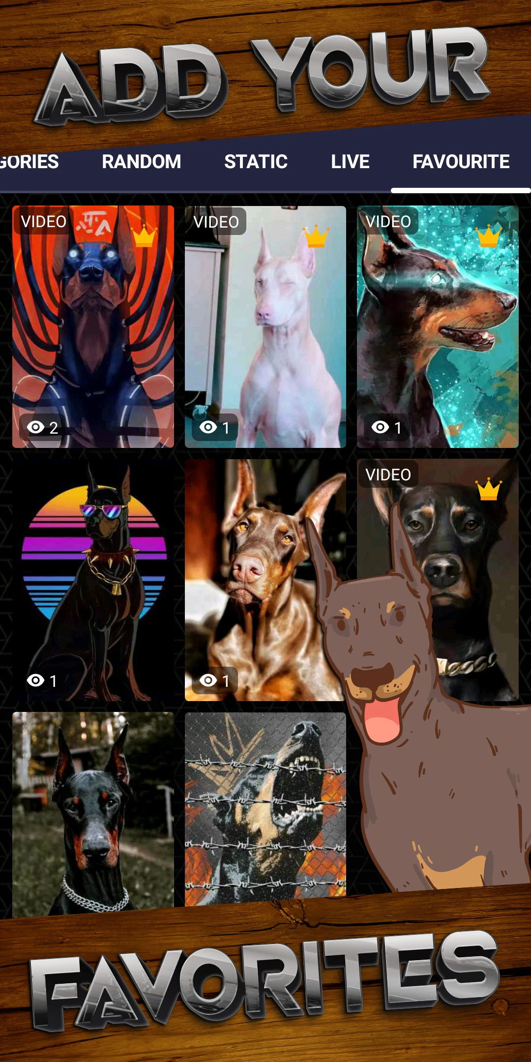 Doberman Wallpaper HD & Live screenshot