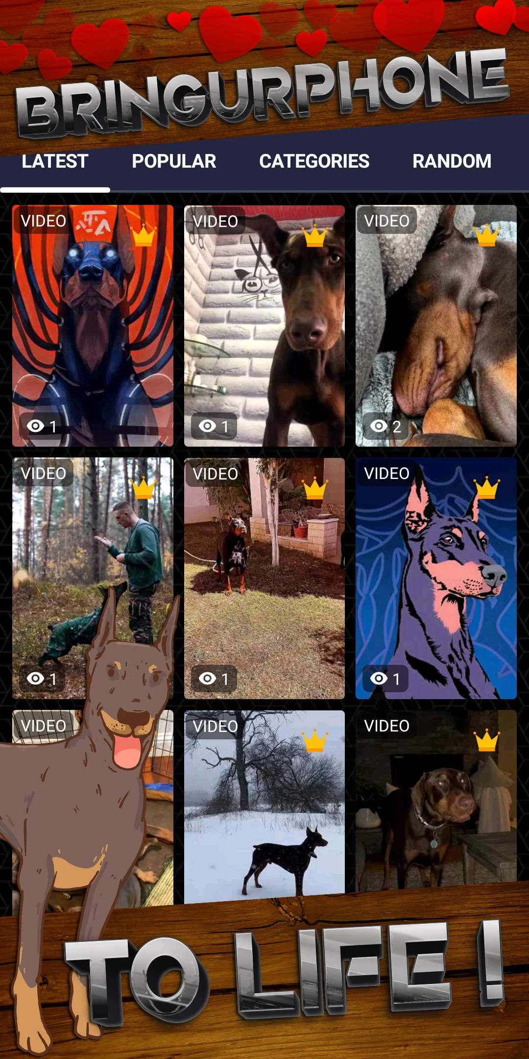 Doberman Wallpaper HD & Live screenshot